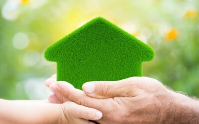 Eco-Friendly Home Improvements: Boosting Your Home’s Value Before Selling in Smyrna, GA